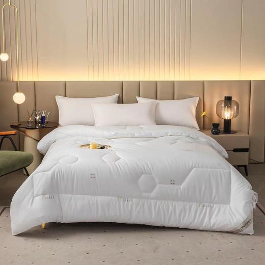 【直送到家】恐龙 康帕斯银离子抗菌防螨被第二代 商品图0