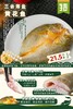 山洋薄盐黄花鱼（半野化三去条冻）250g【GA】 商品缩略图0
