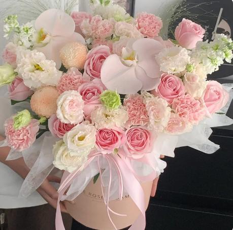 新款塑料防水奥斯卡套四抱抱桶 商品图3