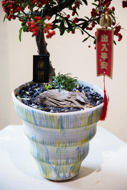 满堂红（小） 商品图2