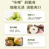 【玉露香梨】圆润饱满 皮薄肉脆 汁多渣少 清甜的“西域甘露” 六枚（5-6斤装）（2.7-2.26停发） 商品缩略图1
