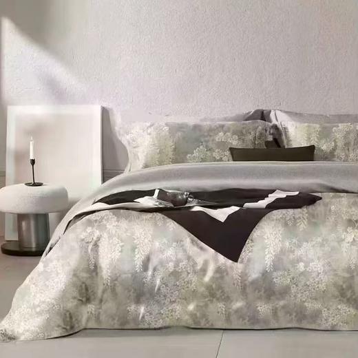 【直送到家】恐龙 100%全棉生态磨毛四件套 若静-灰/ 艾丽-咖 200*230cm 商品图1