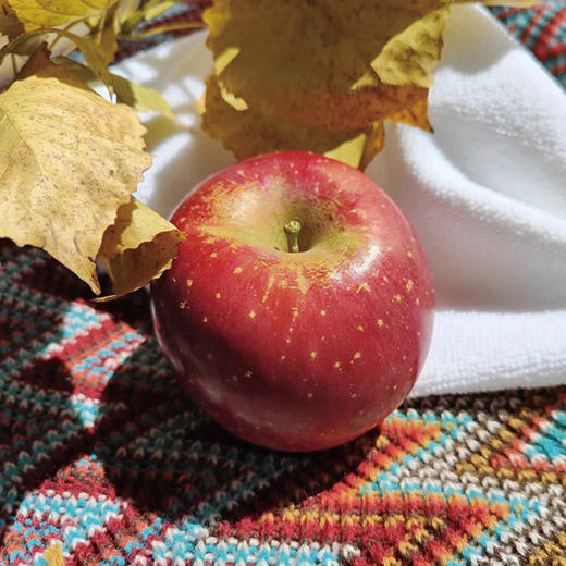 【大凉山丑苹果】 冰糖心爆甜 原滋原味 天然健康水果 5-8斤装（2.11-13停发） 商品图4