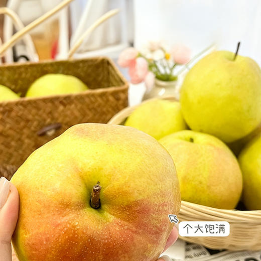 【玉露香梨】圆润饱满 皮薄肉脆 汁多渣少 清甜的“西域甘露” 六枚（5-6斤装）（2.7-2.26停发） 商品图3
