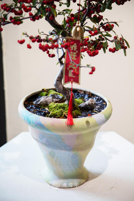 满堂红（小） 商品图2