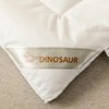 【直送到家】恐龙 康帕斯银离子抗菌防螨被第二代 商品缩略图2