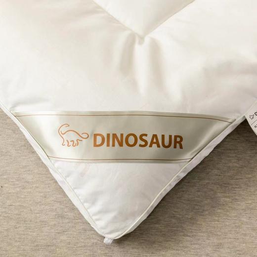 【直送到家】恐龙 康帕斯银离子抗菌防螨被第二代 商品图2