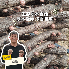 生态段木香菇 | 合作生产*Ecological Fresh Shiitake (Log-Cultivated) | Partner Production