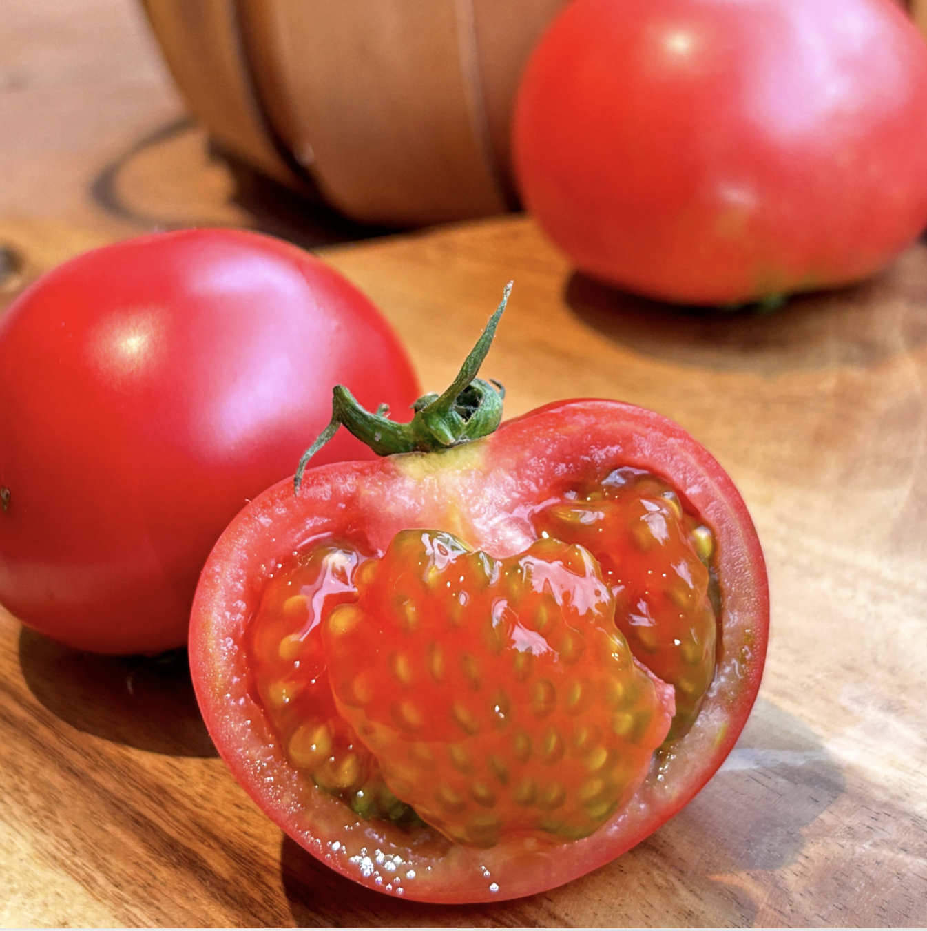 有机草莓番茄｜云南丽江