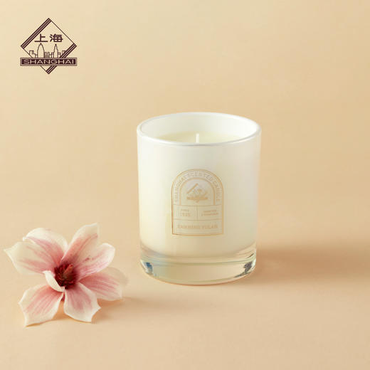 上海香薰蜡烛 沐光玉兰200g 商品图2