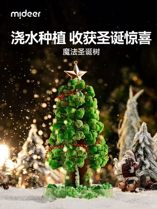 mideer弥鹿魔法圣诞结晶树儿童圣诞礼物diy 商品图0