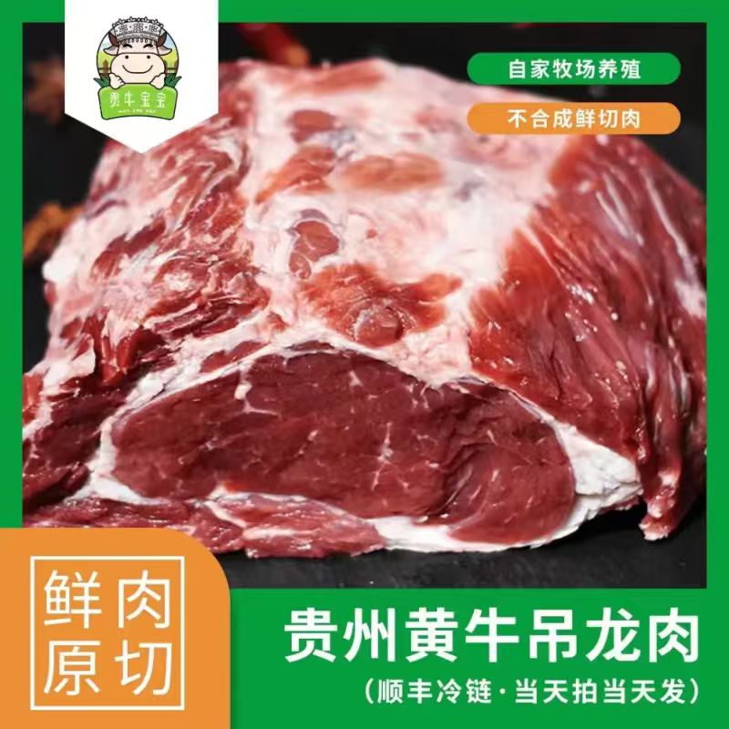 【乡村振兴】贵州省盘州市 贵牛宝宝贵州黄牛牛吊龙