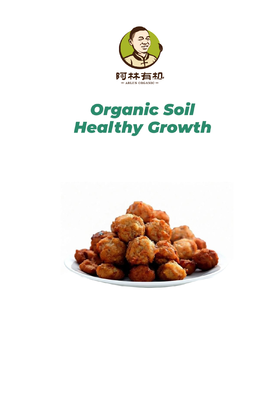 黑毛猪肉-阿林餐厅手工肉圆500g