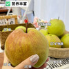 【玉露香梨】圆润饱满 皮薄肉脆 汁多渣少 清甜的“西域甘露” 六枚（5-6斤装）（2.7-2.26停发） 商品缩略图2