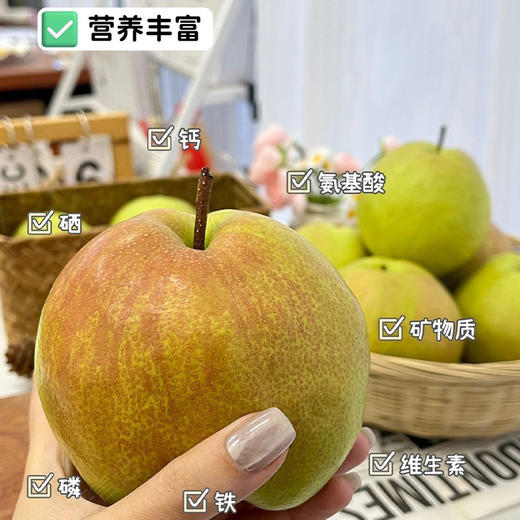 【玉露香梨】圆润饱满 皮薄肉脆 汁多渣少 清甜的“西域甘露” 六枚（5-6斤装）（2.7-2.26停发） 商品图2
