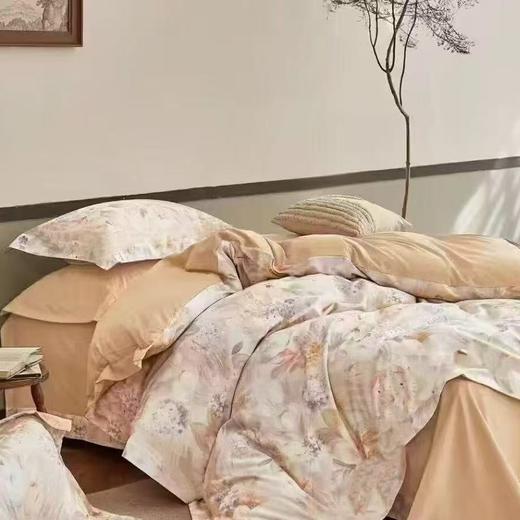 【直送到家】恐龙 100%全棉生态磨毛四件套 若静-灰/ 艾丽-咖 200*230cm 商品图3