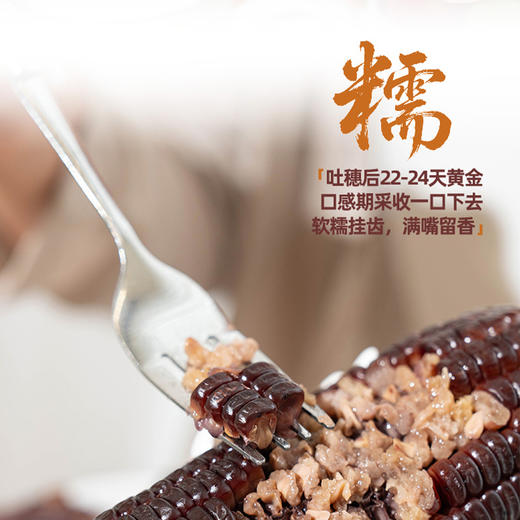 【黑珍珠糯玉米】天然黑色谷物 高纤维促消化 香甜软糯 满满花青素 220g*5根/袋*2袋（2.10-2.25停发） 商品图2