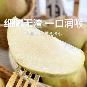 【玉露香梨】圆润饱满 皮薄肉脆 汁多渣少 清甜的“西域甘露” 六枚（5-6斤装）（2.7-2.26停发）