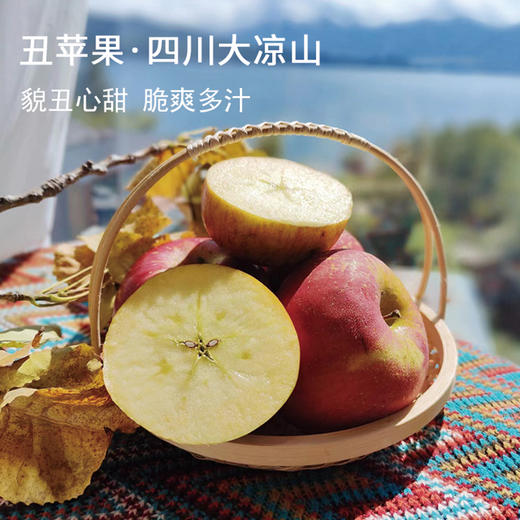 【大凉山丑苹果】 冰糖心爆甜 原滋原味 天然健康水果 5-8斤装（2.11-13停发） 商品图2