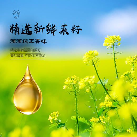 【武汉-蔡甸】江城百臻厨道菜籽油5L 商品图2