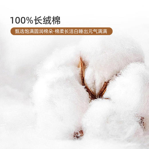 奥若拉 全棉印花三件套/四件套 商品图3