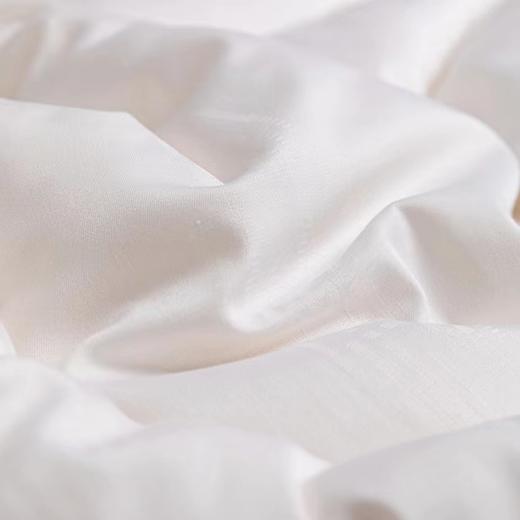 【直送到家堂皇 如意大豆抗菌冬被 200*230cm2000g 商品图2