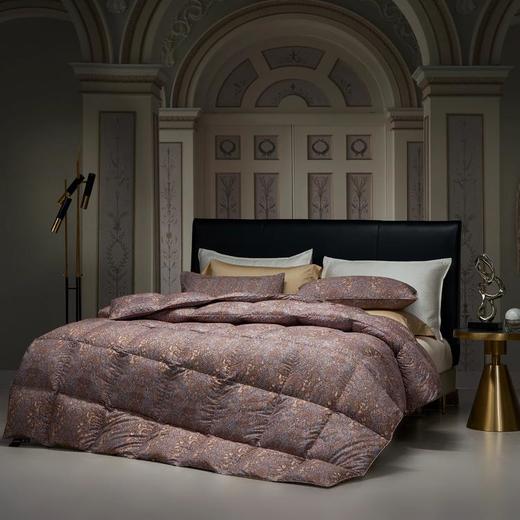 【直送到家】宜庭 卢浮宫大白鹅90%加厚冬被 200*230cm1300g 商品图4