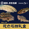 花色石斑礼盒（5斤） 商品缩略图0
