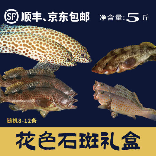花色石斑礼盒（5斤） 商品图0