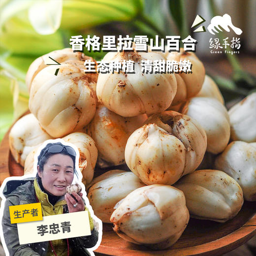 生态高原鲜百合 | 合作生产*Eco- Lily | Partner Production 商品图0