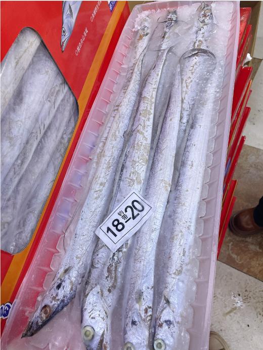 活动舟山带鱼一箱 商品图1