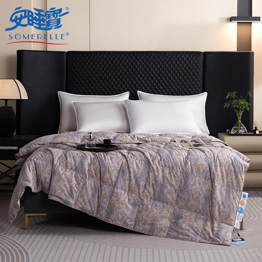 【直送到家】安睡宝 安芯95%羽绒加厚冬被 200*230cm1200g 商品图0