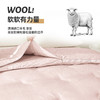 奥若拉 澳洲羊毛大豆被二合一子母被四季被秋冬被 商品缩略图5