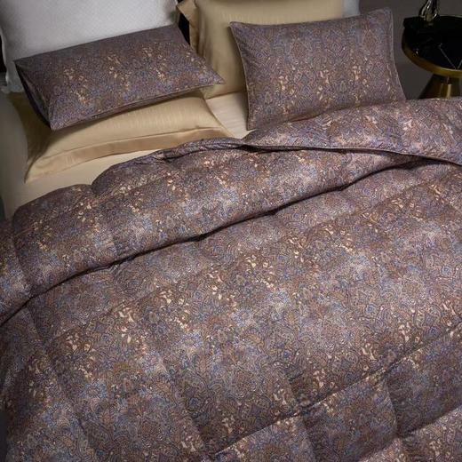 【直送到家】宜庭 卢浮宫大白鹅90%加厚冬被 200*230cm1300g 商品图2