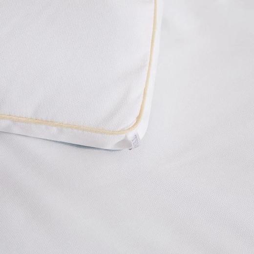 【直送到家】堂皇 舒馨阳绒蛋白冬被 200*230cm2000g 商品图4