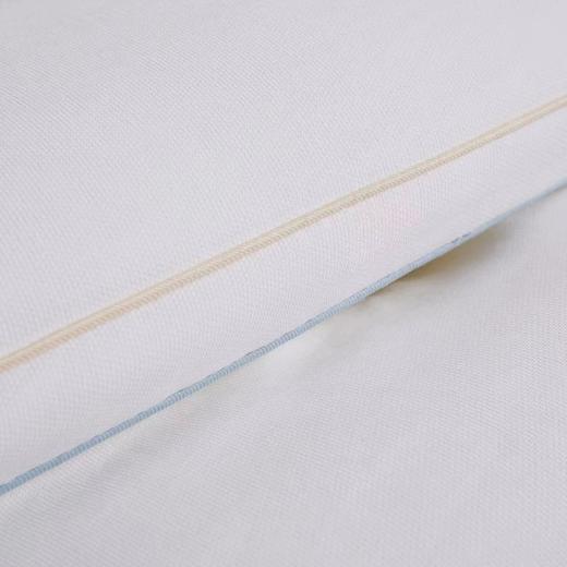 【直送到家】堂皇 舒馨阳绒蛋白冬被 200*230cm2000g 商品图1