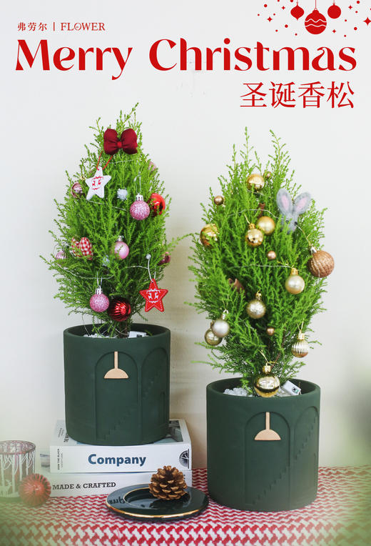 香松圣诞树 商品图1