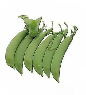 【生鲜预定】甜脆豌豆