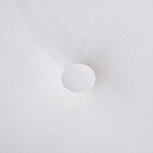 【直送到家】堂皇 舒馨阳绒蛋白冬被 200*230cm2000g 商品图5