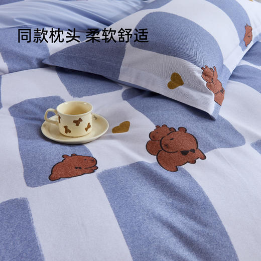 奥若拉 甄选棉全棉磨毛加厚保暖三件套/四件套 商品图5