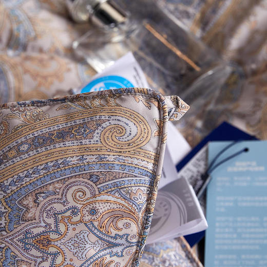 【直送到家】安睡宝 安芯95%羽绒加厚冬被 200*230cm1200g 商品图2