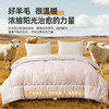 奥若拉 澳洲羊毛大豆被二合一子母被四季被秋冬被 商品缩略图6