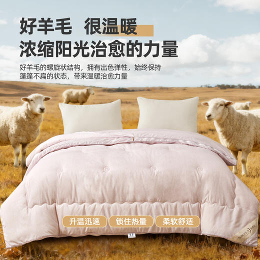 奥若拉 澳洲羊毛大豆被二合一子母被四季被秋冬被 商品图6