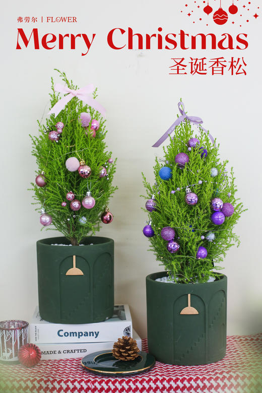 香松圣诞树 商品图2