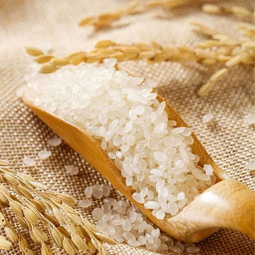 【小站稻香米5kg】中粮皇家粮仓小站稻香米5kg！天津小站稻，经典软糯，家庭囤货大包装，口粮米放心选！ 商品图1