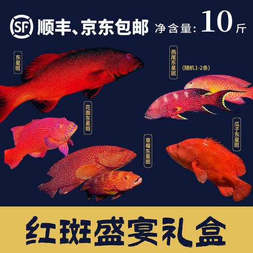 红斑盛宴礼盒（净重10斤） 商品图0