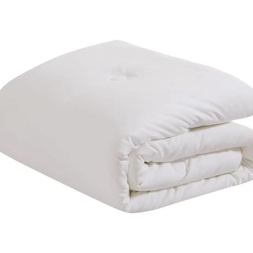 【直送到家】堂皇 舒馨阳绒蛋白冬被 200*230cm2000g 商品图2