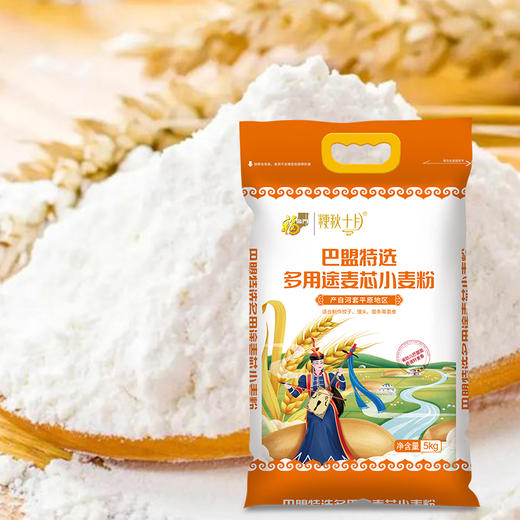 福临门巴盟特选多用途麦芯小麦粉5kg 商品图0
