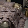 【直送到家】宜庭 卢浮宫大白鹅90%加厚冬被 200*230cm1300g 商品缩略图0