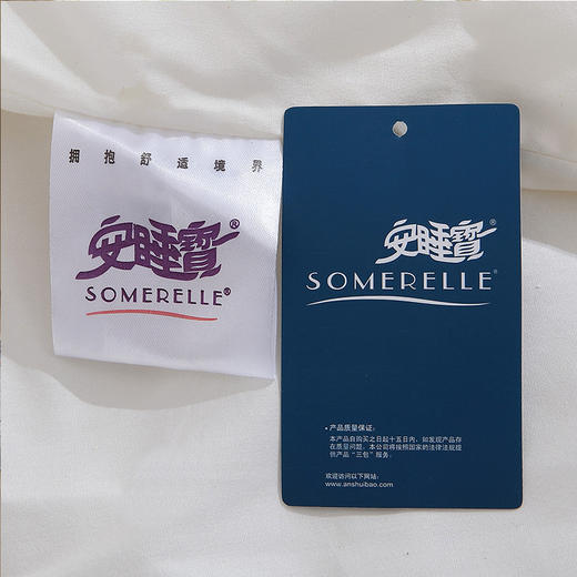 【直送到家】安睡宝 新羽舒柔聚暖冬被200*230cm/1800g 商品图3